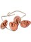 The Walking Dead Daryl Zombie Walker Ear Necklace Costume Accessory